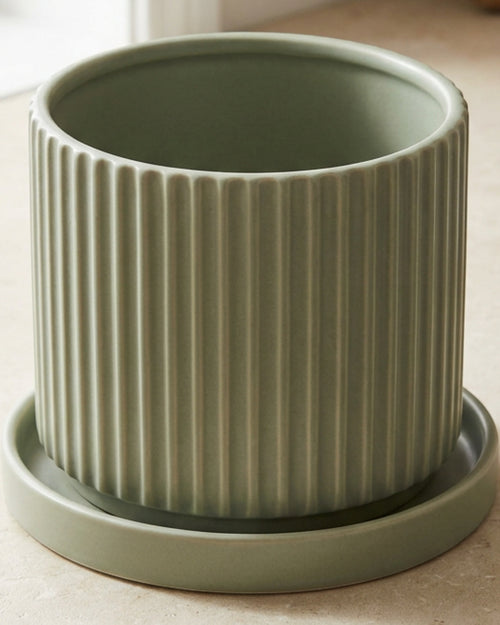 Stilld Fluted Ceramic Planter with Saucer 18 cm Sage - Lifestyle view